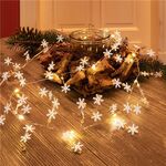 10er LED-Silberdraht-Lichterkette Schneeflocken- VPE: 1