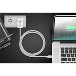 Sync & Charge Super Speed USB-C™ 3.2 Gen 1 USB-C™ Kabel, 1m- VPE: 1