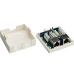 2-Port RJ45-Anschlussdose, CAT 6, STP- VPE: 1