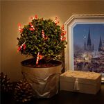 10er LED-Lichterkette Zuckerstangen- VPE: 1