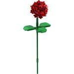 BRIXIES Plus Rose rot