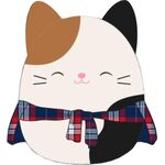 Squishmallows 30cm CAM die Katze
