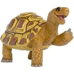 Henrietta die Schildkröte