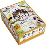 Tour durch die Natur Heimische Singvögel