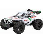 RC 2,4GHz Team Rider