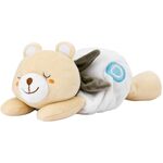 Wärmender Kuschelbär