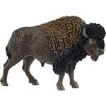 Bison