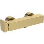 IDS Einhebel-Brausearmatur EXTRA AP brushed gold IDEAL STANDARD