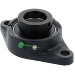 Flanschlager-Gehäuseeinheiten UELFL205 D1 25mm ov.1St./VE RHP