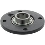 Flanschlager-Gehäuseeinheiten RMEY70 70mm rd.1St./VE INA