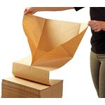 Füllpapier PadPak Guardian 1-lagig Länge 300m Breite 380mm Ecoline TRANSPAK