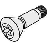 Torx-Innensechskantschraube ISO CS 8602-T15P Bruttogewicht 2,8g PRAMET