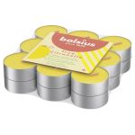 BOLSIUS True Citronella Teelichte 18PA - VPE: 8