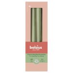 BOLSIUS  Spitzkerze 24,5x2,4 olive 4St - 8 VPE
