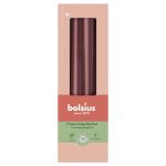 BOLSIUS  Spitzkerzen 245/24mm samt 4PA - 8 VPE