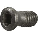 Spannschraube Gr.T15 TECWERK