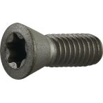 Spannschraube Gr.T20 f.TCMT 16/SCMT 12 z.Fasenfräser TECWERK