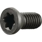 Spannschraube M3,5 Gewinde-L.8mm z.Klemmdrehhalter SE R/ SI L TECWERK - VPE: 2