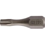 Bit P829171 1/4 Zoll T 15 L.25mm TZ TECWERK - VPE: 10