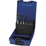 Maschinengewindebohrerset DIN 371/376 C Univ.M3-M12 HSS-Co vap.Ku.-Kass.TECWERK