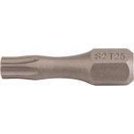 Bit P829173 1/4 Zoll T 25 L.25mm TZ TECWERK - VPE: 10