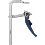 Hebelzwinge Spann-W.200mm A.100mm Spannkr.b.zu 8000N TECWERK