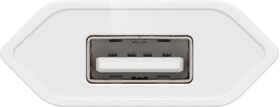 Apple Lightning Ladeset (5 W)- VPE: 1