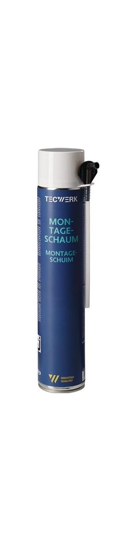 1K-Montageschaum 750ml B2 champagner m.Einw.-Handsch.Dose TECWERK