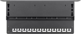CAT 6a 10-Zoll (25,4 cm) Patch Panel, 12 Port, (1 HE), Schwarz- VPE: 1