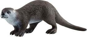 Fischotter