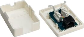 1-Port RJ45-Anschlussdose, CAT 6, UTP- VPE: 1