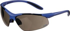 Schutzbrille DAYLIGHT PREMIUM EN 166 Bügel dunkelblau,Scheibe smoke PC TECWERK