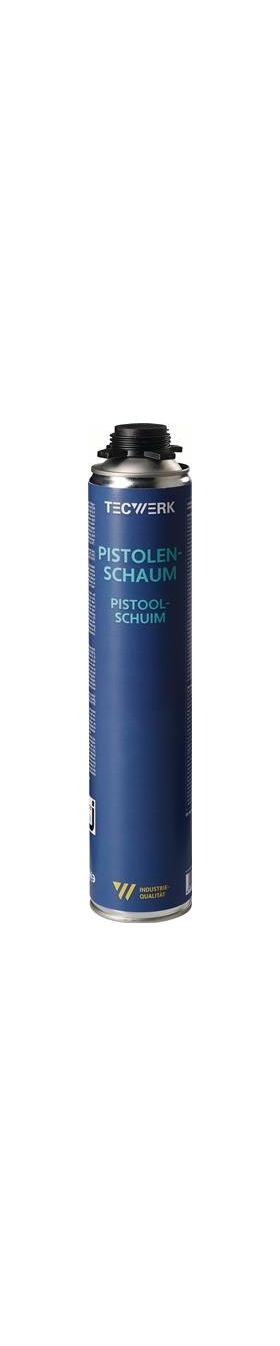 1K-Pistolenschaum 750ml B2 champagner o.Einw.-Handsch.Dose TECWERK