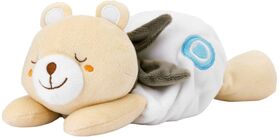 Wärmender Kuschelbär