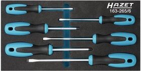 Werkzeugmodul 163-265/6 6-tlg.HAZET