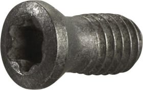 Spannschraube Gr.T15 TECWERK