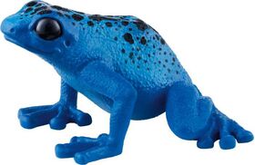 blauer Pfeilgiftfrosch