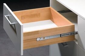 Überauszug KA 290 STA verz.L.250mm 20kg Hettich