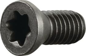 Spannschraube M3,5 Gewinde-L.8mm z.Klemmdrehhalter SE R/ SI L TECWERK - VPE: 2