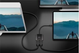 USB-C™-Adapter auf 2x DisplayPort™- VPE: 1