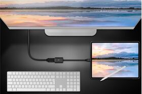 USB-C™-auf-DisplayPort™-Adapter- VPE: 1