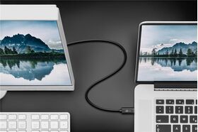 USB-C™- DisplayPort™-Adapterkabel 4K 60 Hz, 1,20 m, schwarz- VPE: 1