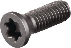 Spannschraube US3510 Gr.T15 TECWERK