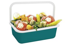 HONEYWARE Frischhaltedose 'Color Line' S mit Deckel