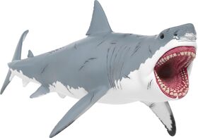Megalodon