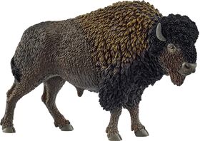 Bison