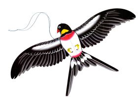 Bdt ''Drachenangel'' 70cm Angelrute + 30cm Drachen ''Schwalbe''