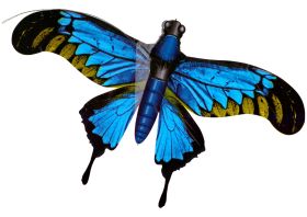 Bdt ''Drachenangel'' 70cm Angelrute + 30cm Drachen ''Schmetterling''