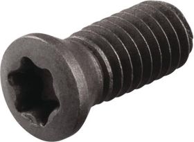 Spannschraube WS0620-S4 TECWERK