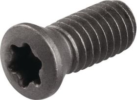 Spannschraube WS0410 Gr.T15 TECWERK